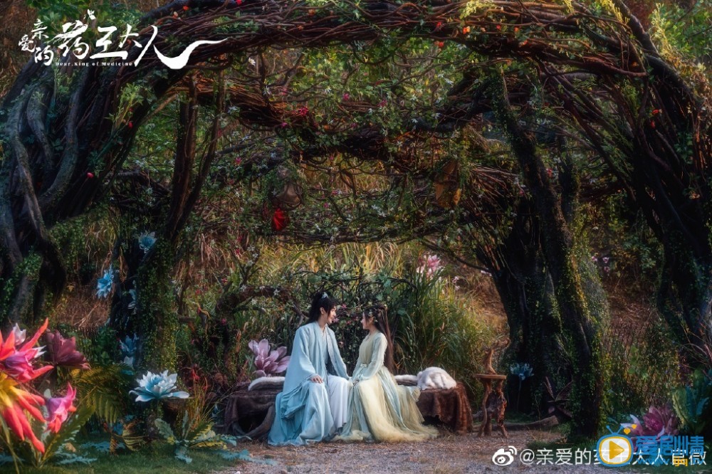 亲爱的药王大人剧情介绍(1-12集大结局)