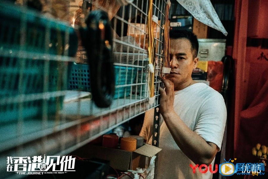 我在香港遇见他剧情介绍(1-26集大结局)