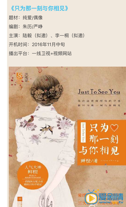 只为那一刻与你相见海报