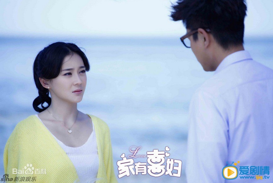 家有喜妇剧情介绍(1-32集大结局)