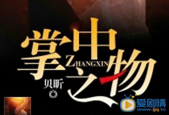 掌中之物海报