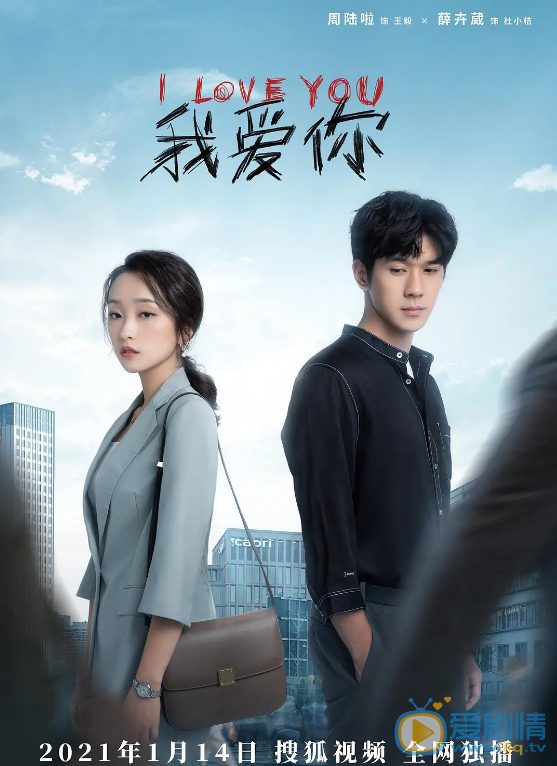 我爱你剧情介绍(1-12集大结局)