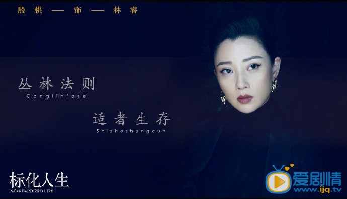 正青春剧情介绍(1-50集大结局)