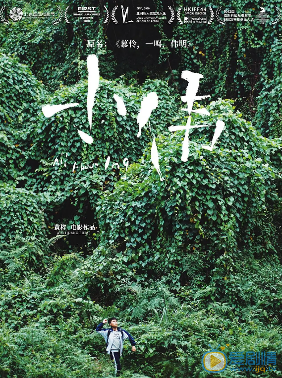小伟什么时候上映 上映时间
