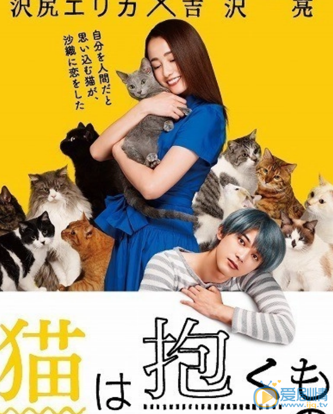 泽尻英龙华生活照 泽尻英龙华10