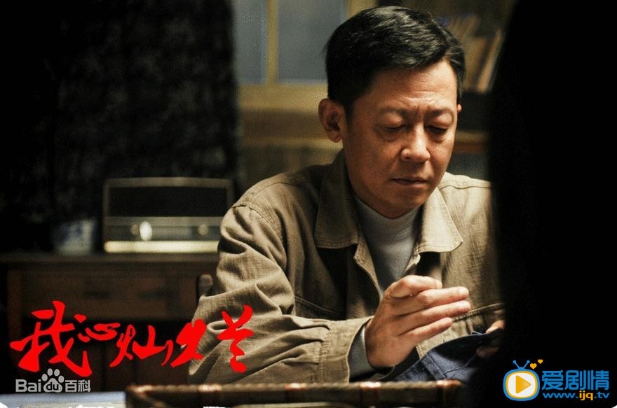 我心灿烂剧情介绍(1-35集大结局)