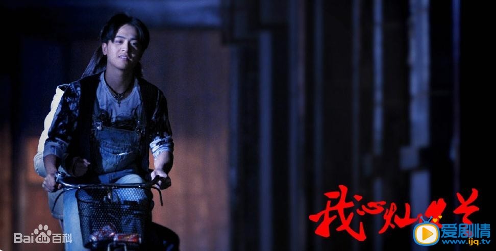 我心灿烂剧情介绍(1-35集大结局)