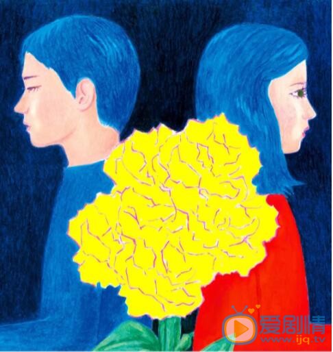 花束般的恋爱什么时候上映 上映时间