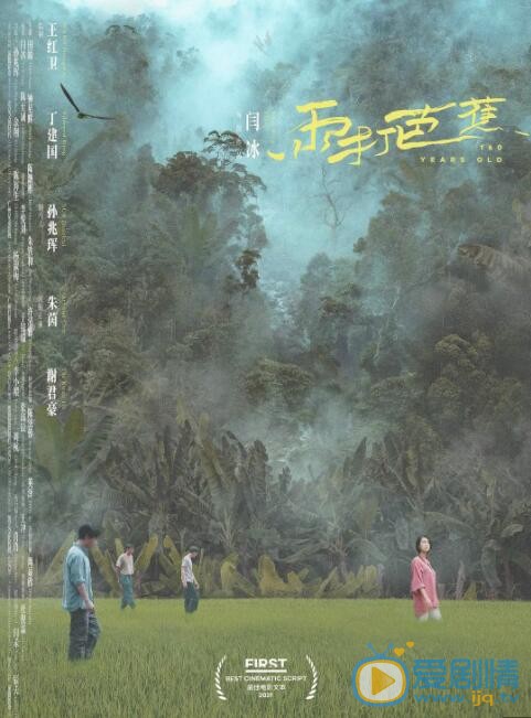 雨打芭蕉什么时候上映 上映时间