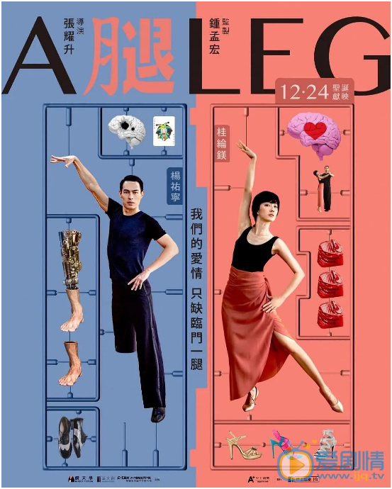 腿什么时候上映 上映时间
