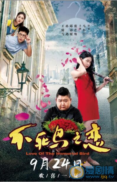 不死鸟之恋什么时候上映 上映时间