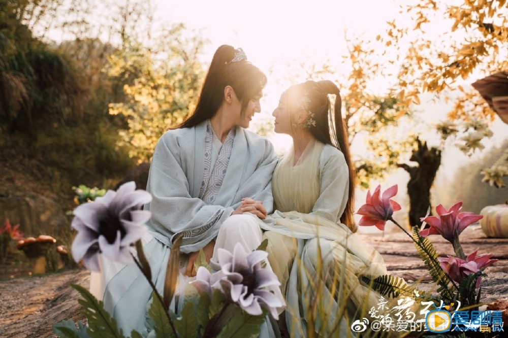 亲爱的药王大人剧情介绍