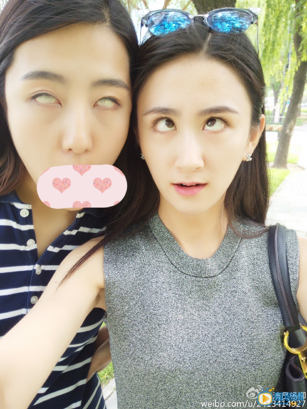 杨柳搞笑照 杨柳高清写真_杨柳高清剧照