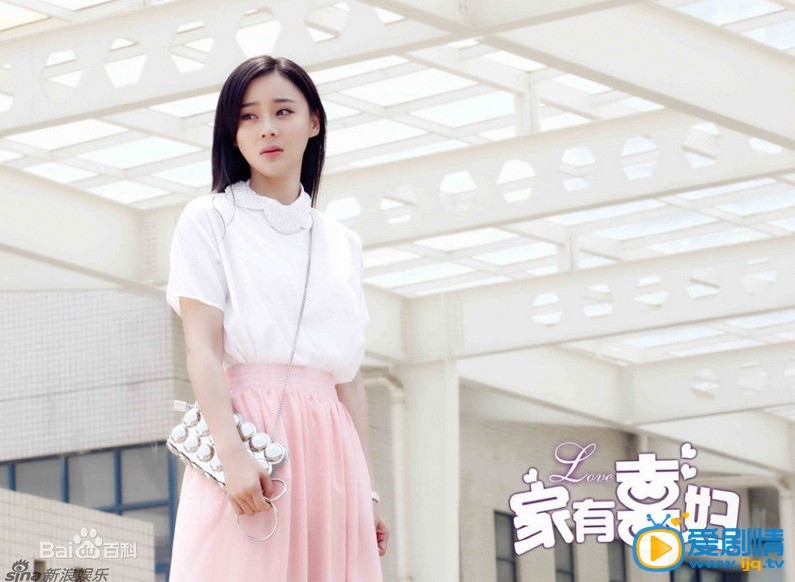 家有喜妇剧情介绍(1-32集大结局)