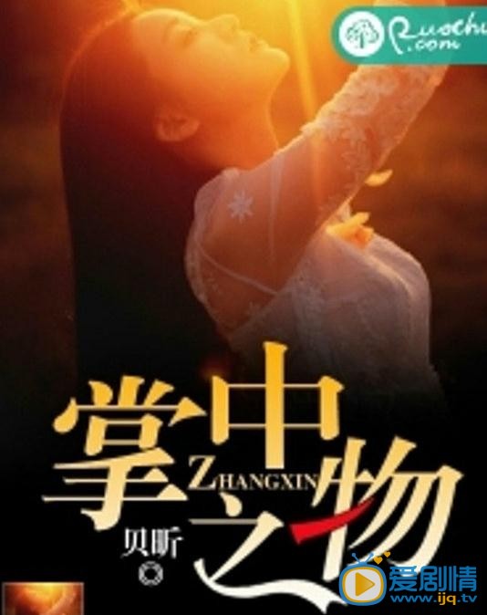 掌中之物海报