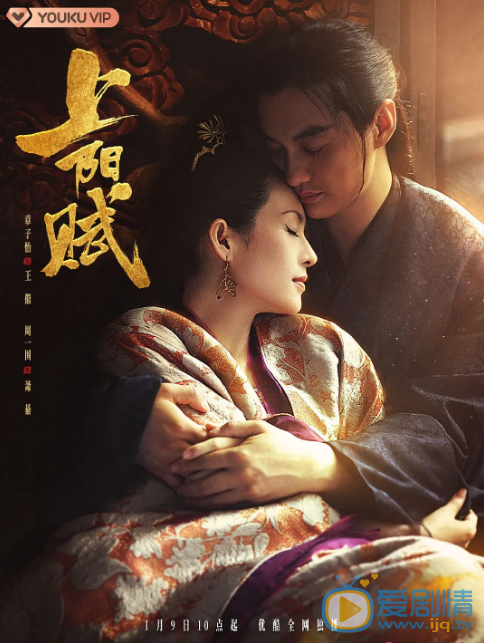 上阳赋剧情介绍(1-68集大结局)