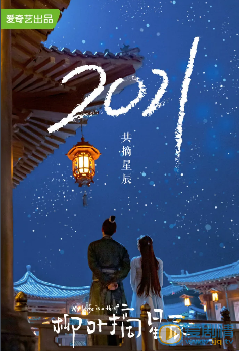 柳叶摘星辰剧情介绍(1-24集大结局)