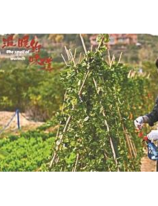 治愈田园风《温暖的味道》背后的温情故事
