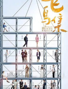 飞鸟集