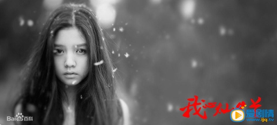 我心灿烂剧情介绍(1-35集大结局)