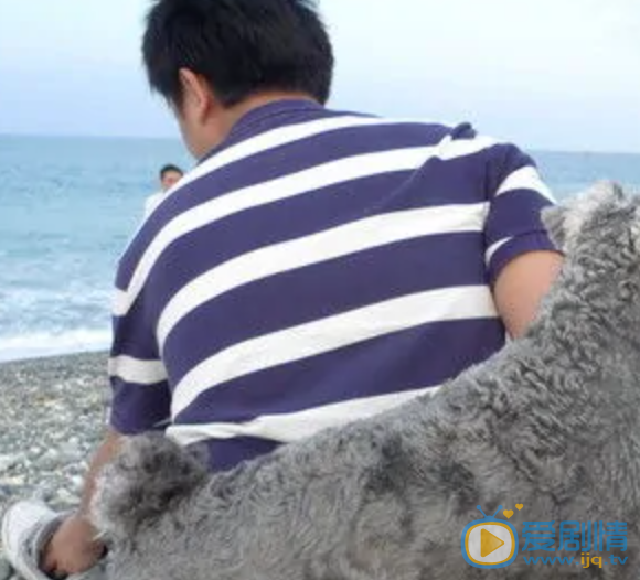 张心杰生活照 张心杰高清写真_张心杰高清剧照