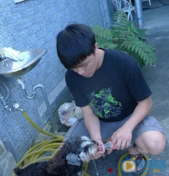 张心杰演出照 张心杰 个人生活 个人照