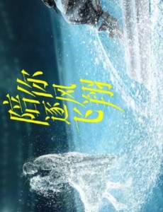 陪你逐风飞翔