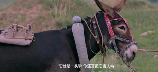 QQ浏览器截图20211105104008