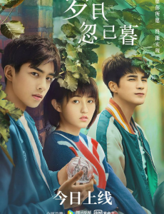 片尾曲《你听》，与电影《岁月忽已暮》同步首播