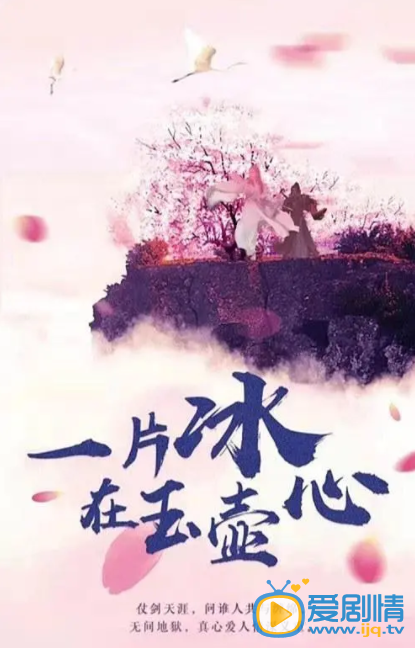 一片冰心在玉壶剧情介绍(1-0集大结局)