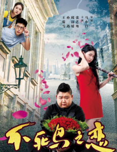 《不死鸟之恋》爱情的世界，总是有着太多的意外