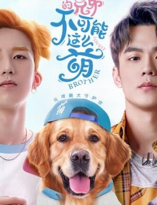《我的兄弟不可能这么萌》由籍皓、孟轩子、阿盐、郑啟姿领衔主演的