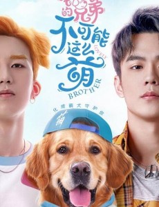 《我的兄弟不可能这样萌》又有什么笑点给观众呢？