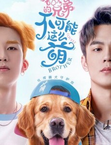 《我的兄弟不可能这么萌》青年导演梁锋执导的奇幻、都市、情感、治愈喜剧
